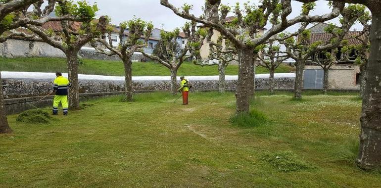 Noviembre trae tres ferias ganaderas a Llanes