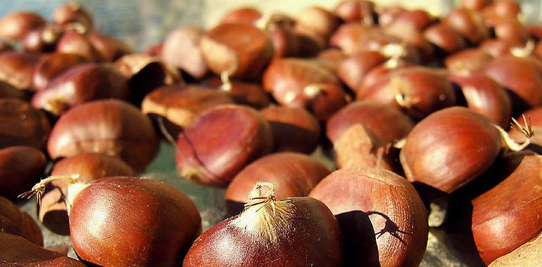 Crema de castañas para tus menús de otoño