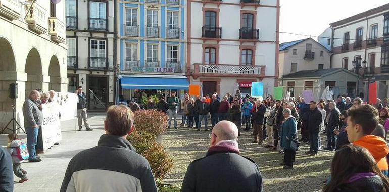 Iniciativa parlamentaria de Podemos Asturias contra la avispa asiática