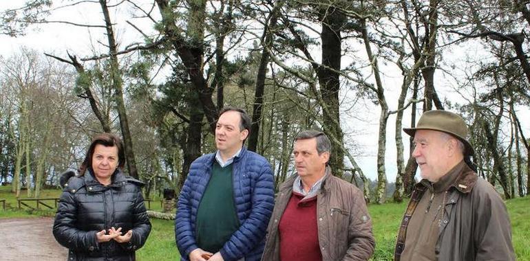 La consejera destaca el Cordal de Peón como monte sostenible