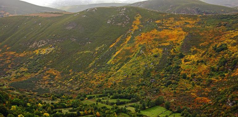 Villafranca del Bierzo, la pequeña Compostela