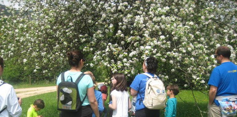 Ruta para conocer los orígenes de las plantas en el Parque de la Prehistoria de Teverga