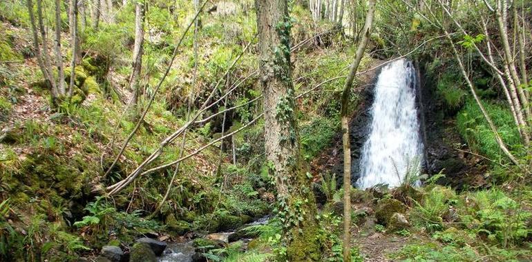 Asturies ConBici se va de excursión a las cascadas del río Nonaya