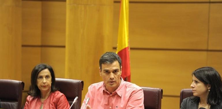 Pedro Sánchez pide 