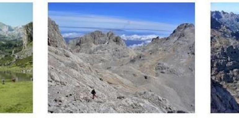 Picos de Europa entre los cinco parques destino preferente