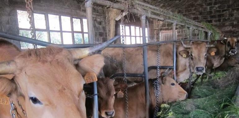 Ganaderos y agricultores asturianos tendrán una rebaja en el IRPF