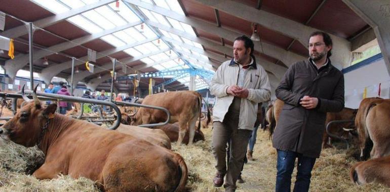  “La PAC debe hacer de Asturies un modelo a exportar a la UE y no al revés”